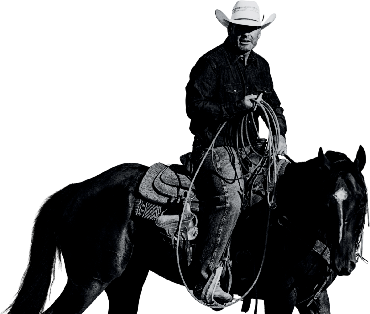 Cowboy on horseback